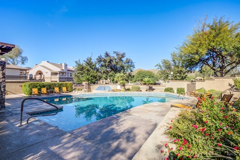 A pool with trees around it