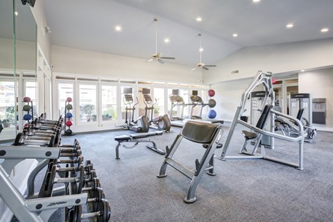 A gym with a variety of equipment including treadmills, weights, and exercise balls.