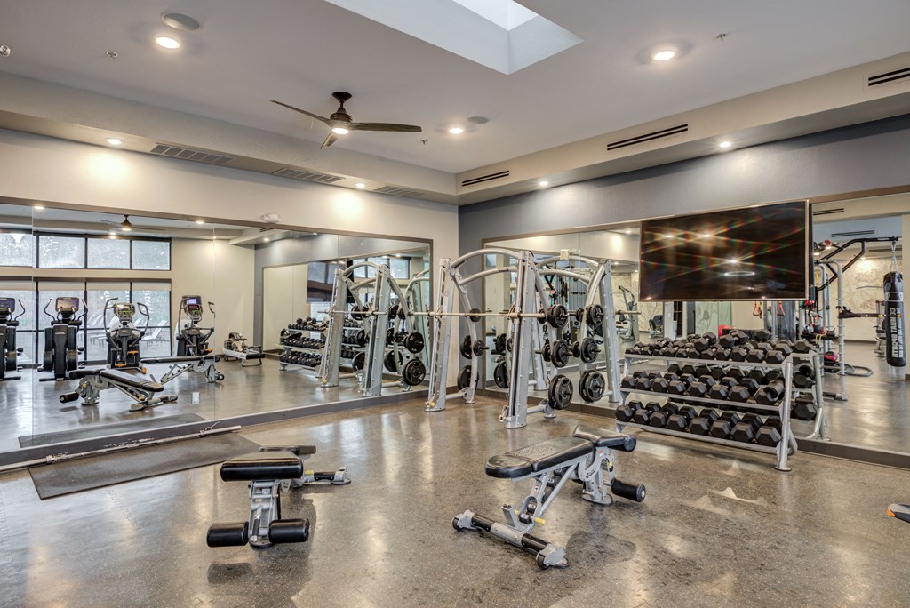 Fitness Center Free Weights