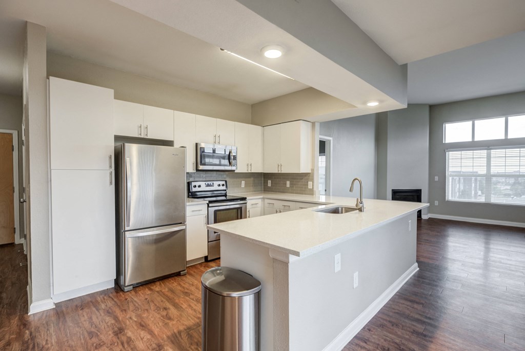 Kitchen with Stainless-Steel Applainces