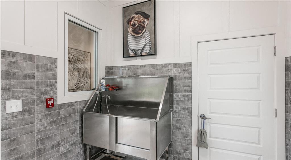 Dog Wash Station