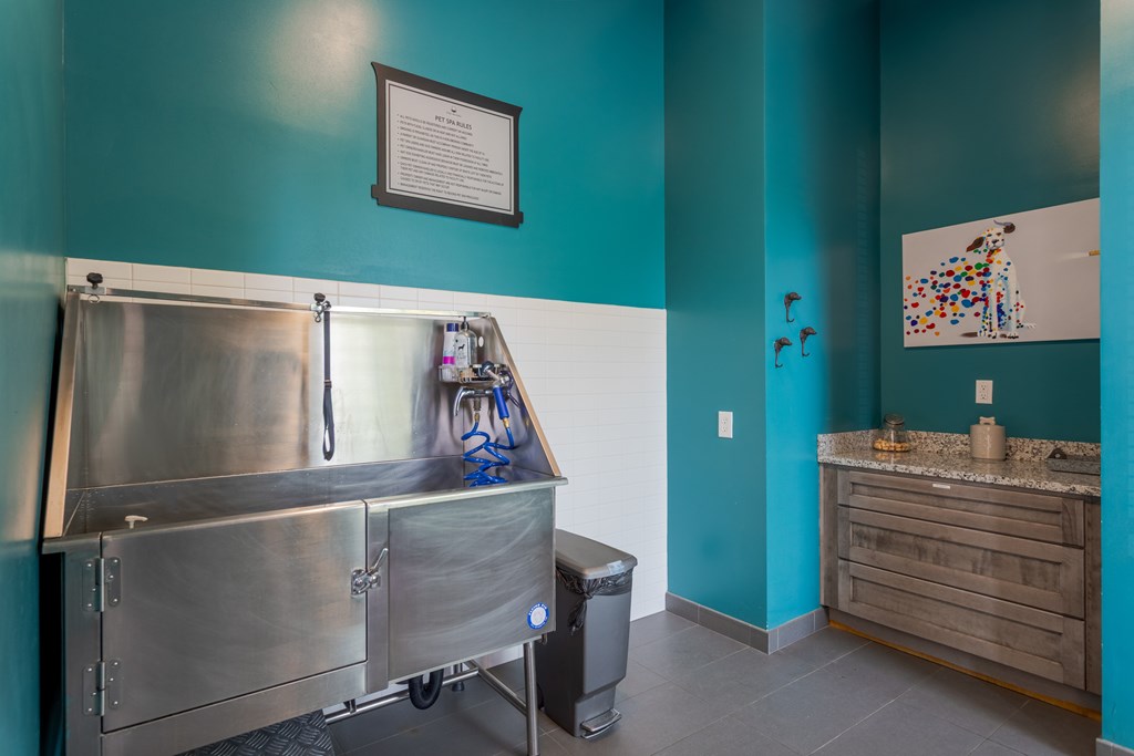 Pet spa and dog wash station