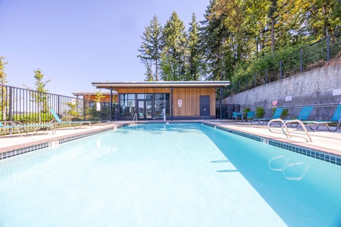 A large outdoor swimming pool with a wooden building in the background.