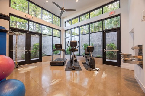 A gym with treadmills, exercise balls, and a fan.