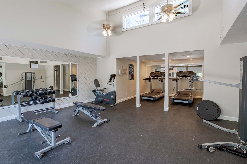 the gym with weights and cardio equipment at 1861 muleshoe road