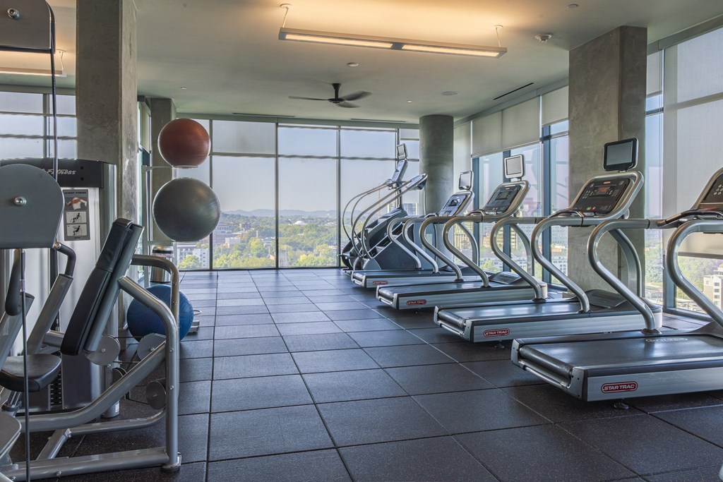 A gym with treadmills and elliptical machines.