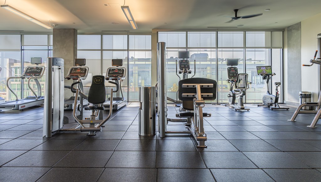 A gym with a row of exercise bikes.