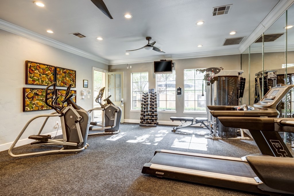 A spacious gym with treadmills, elliptical machines, and a television.