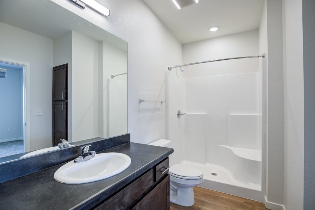 Bathroom with vanity mirror and walk-in shower.