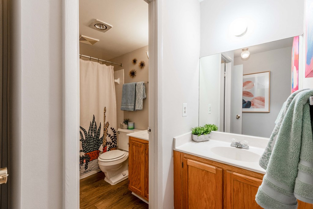 a bathroom with wooden cabinets