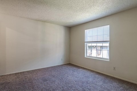 empty bedroom with a window and carpet