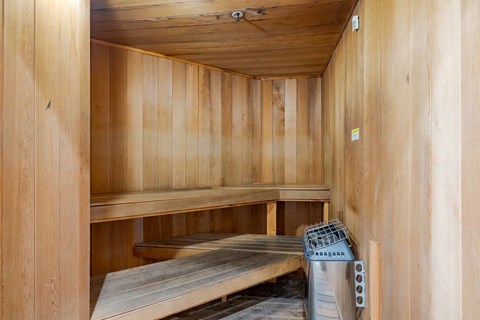 A wooden sauna with benches and a door.