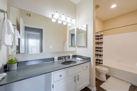 A bathroom with a sink, mirror, and toilet.