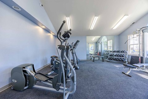 A gym with a treadmill, weights, and exercise equipment.