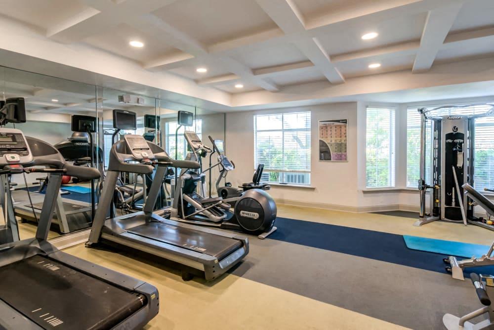a gym with cardio machines and weights in a large room