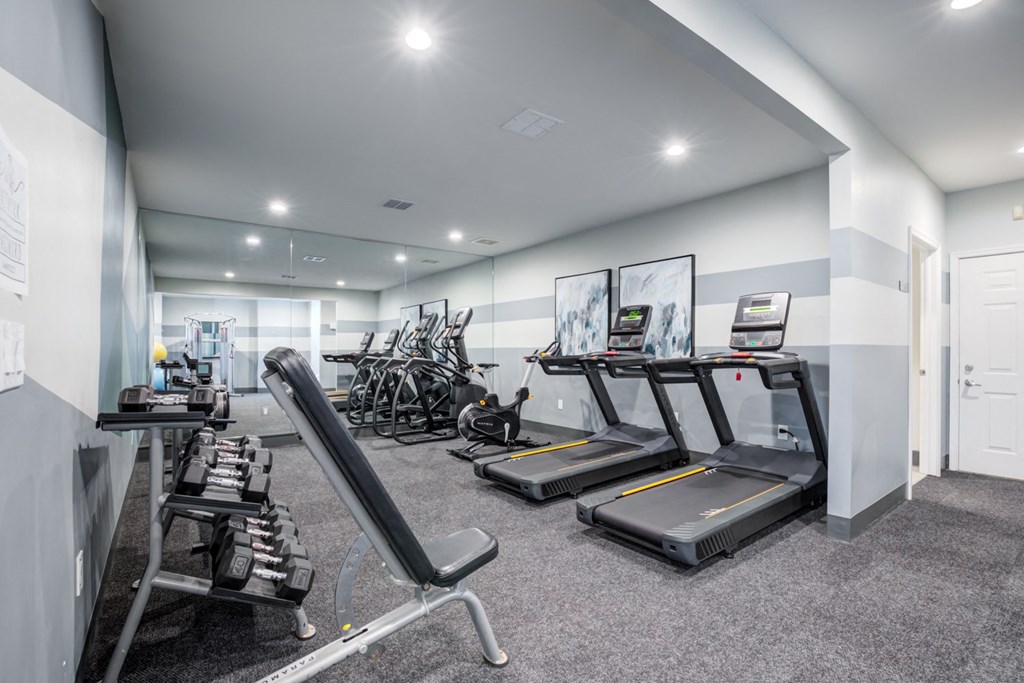 the gym has treadmills and other exercise equipment