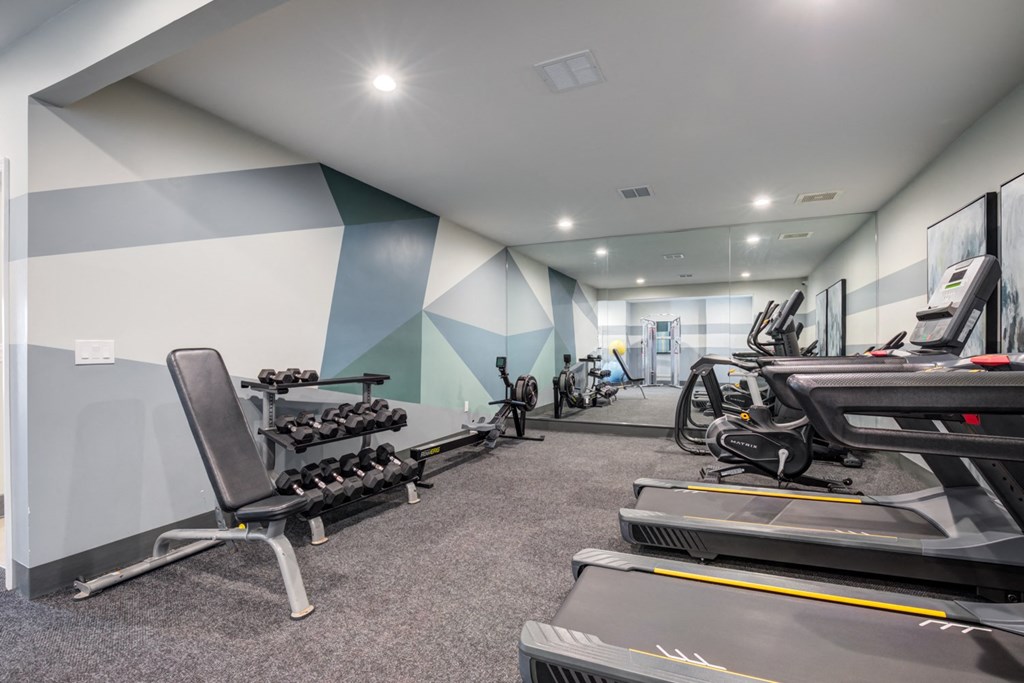 the gym is equipped with weights and cardio equipment