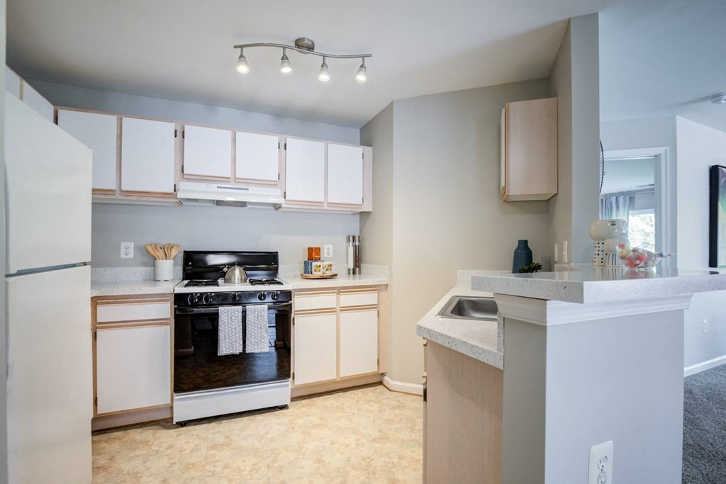 a kitchen with white cabinets and a stove and a refrigerator