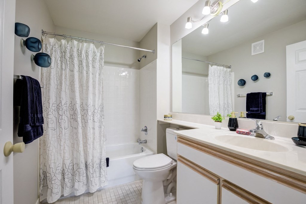 a bathroom with a shower toilet and sink and a mirror