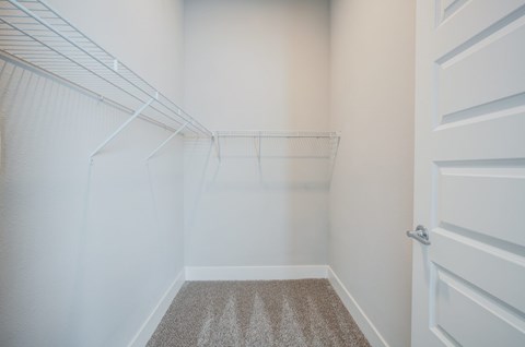 Walk-In Closet with built in shelves