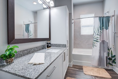 Bathroom with tub, sink and mirror
