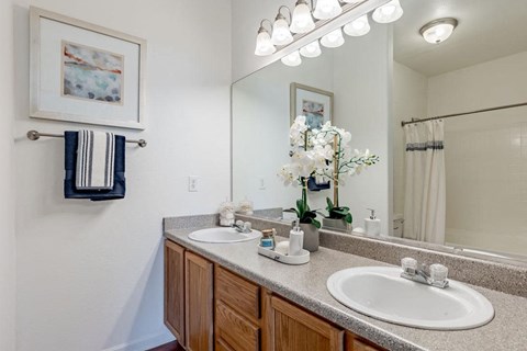 a bathroom with two sinks and a mirror