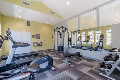 a gym with weights and cardio equipment at the enclave at woodbury