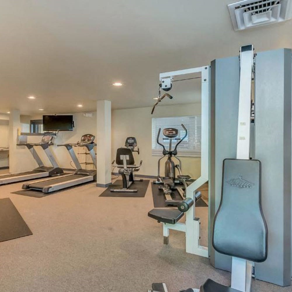 a gym with weights and cardio equipment in a home gym