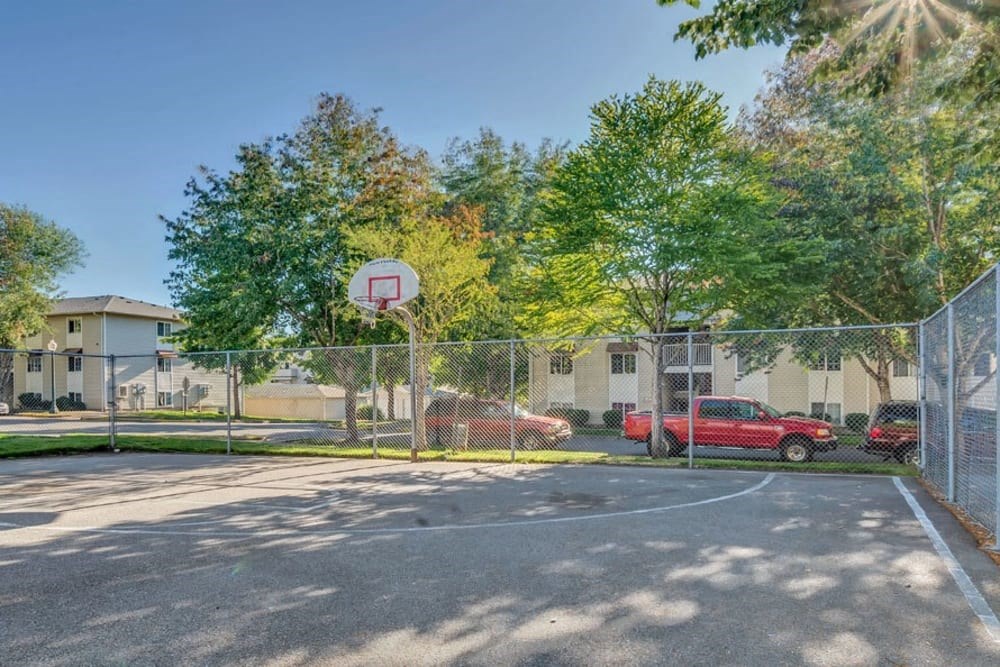 a basketball court in front of a fence and trees