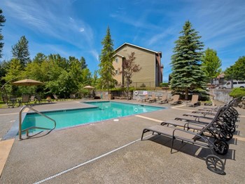 Swimming Pool and Lounge Chairs - Photo Gallery 2