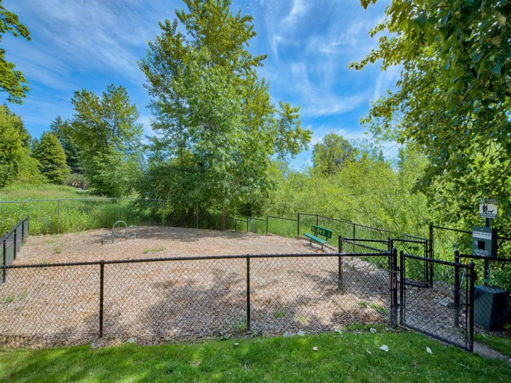Dog Park