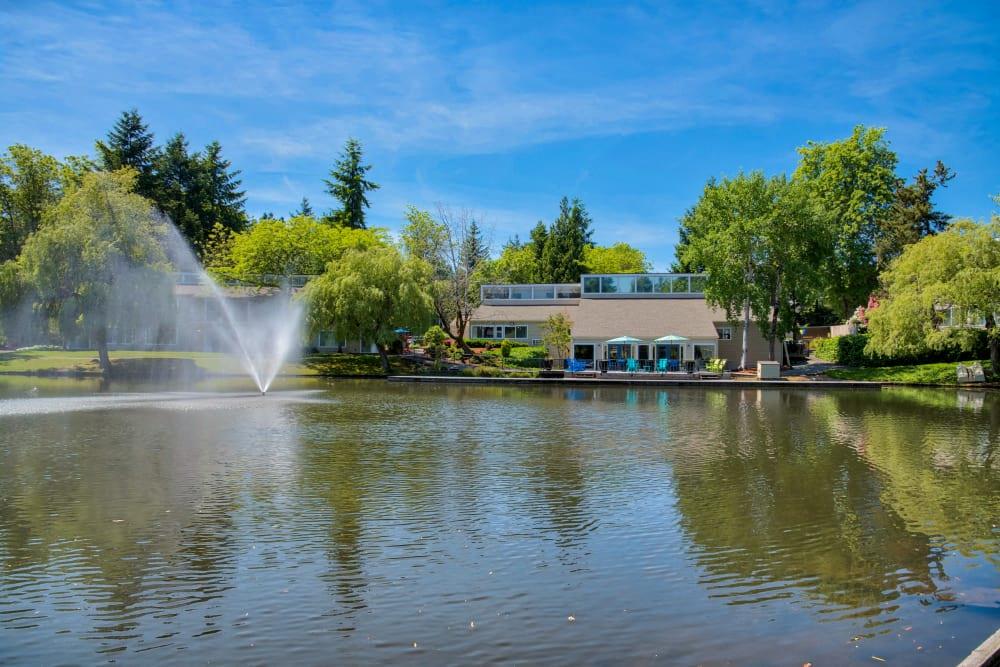 Pond with Fountain