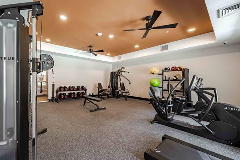 A well-equipped gym with a variety of exercise machines and weights.
