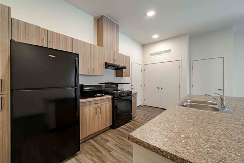 A black fridge sits in a kitchen with wooden cabinets and a granite countertop.