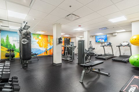 A gym with a punching bag, weights, and exercise equipment.