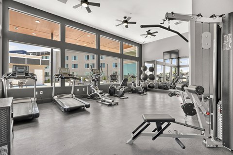 A spacious gym with a variety of equipment including treadmills, weight machines, and a bench press.