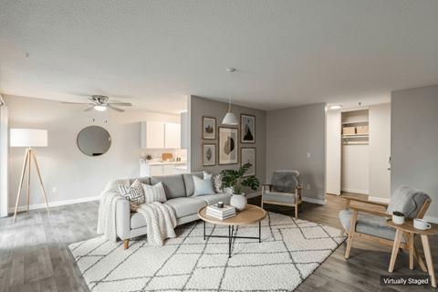 A living room with a grey couch, a coffee table, and a rug.