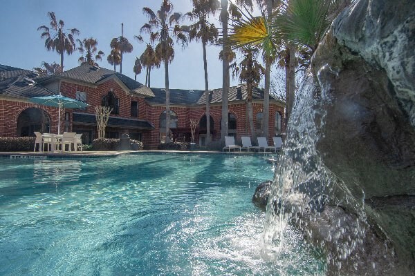 a swimming pool with palm trees