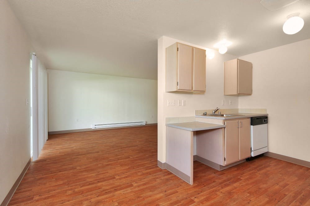 Kitchen and living room