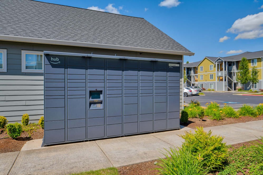 Amazon Package Lockers