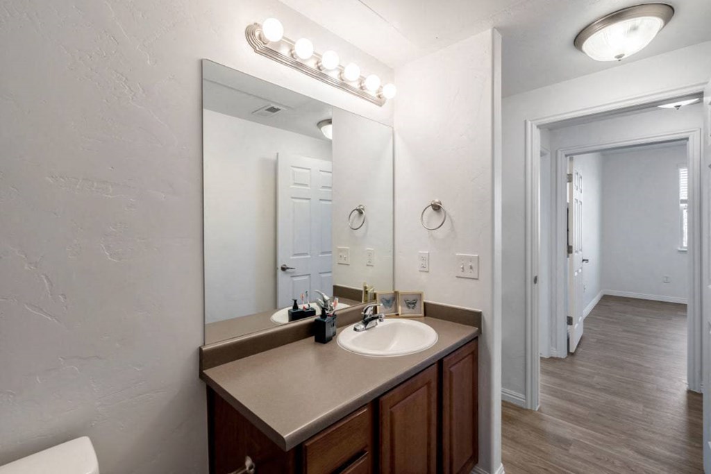 a bathroom with a sink and a mirror