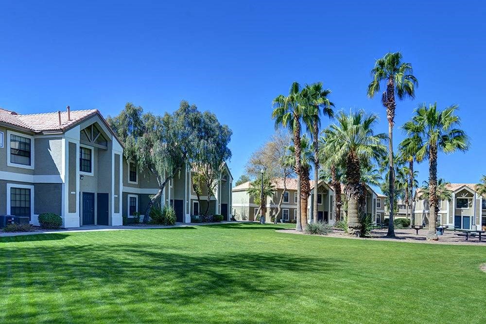 a large yard with houses and palm trees