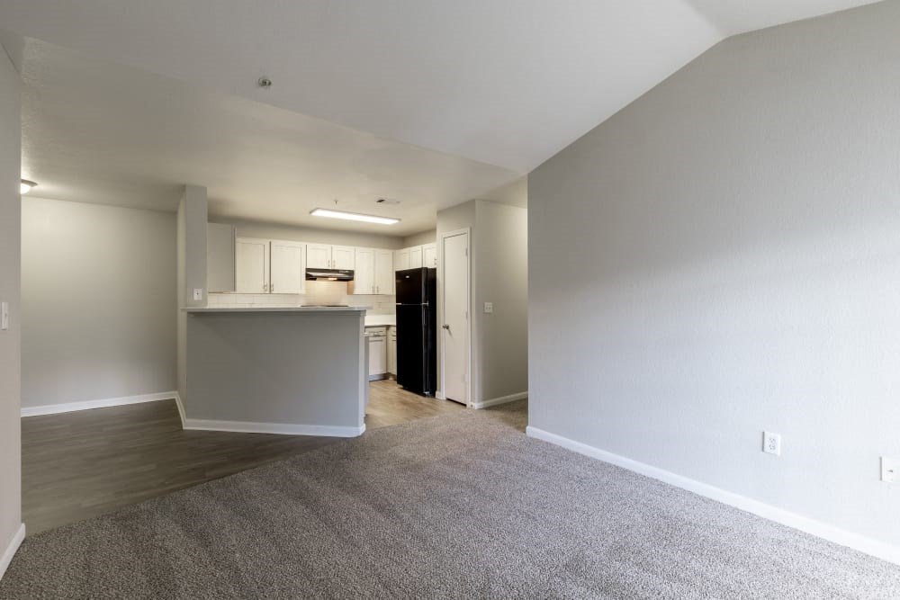 Kitchen and Living Area