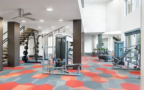 A gym with a variety of equipment including a weight bench, a squat rack, and a treadmill.