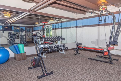 A gym with a variety of equipment.
