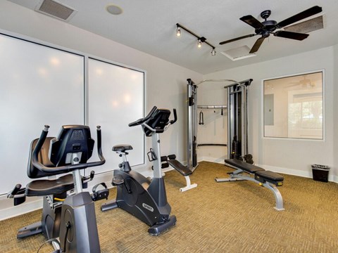 A well-equipped home gym with a variety of exercise machines.