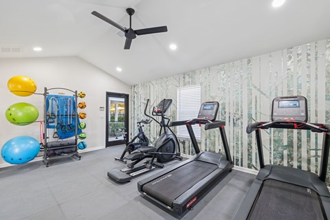 A gym with treadmills, exercise balls, and a fan.