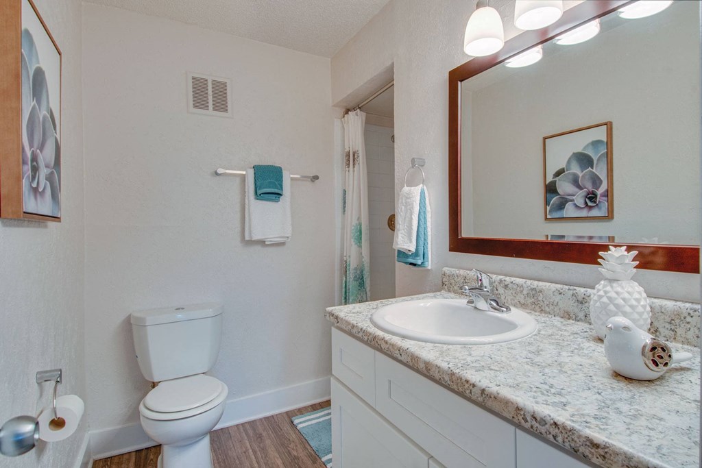 Renovated Bathrooms With Quartz Counters at Nob Hill Apartments, Nashville, Tennessee
