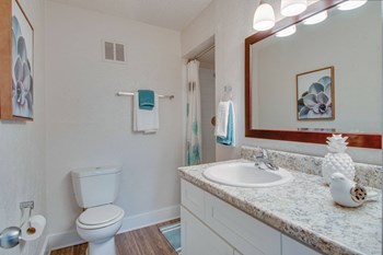 Renovated Bathrooms With Quartz Counters at Nob Hill Apartments, Nashville, Tennessee - Photo Gallery 34