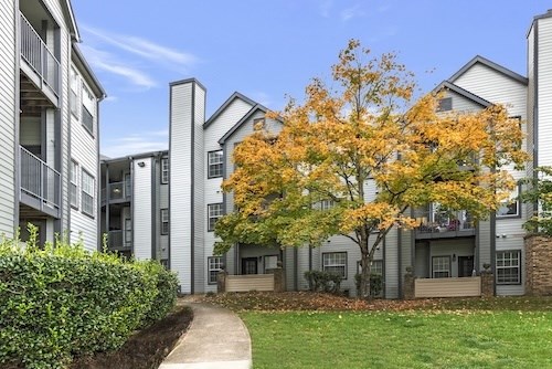A tree with yellow leaves is in front of apartment buildings.